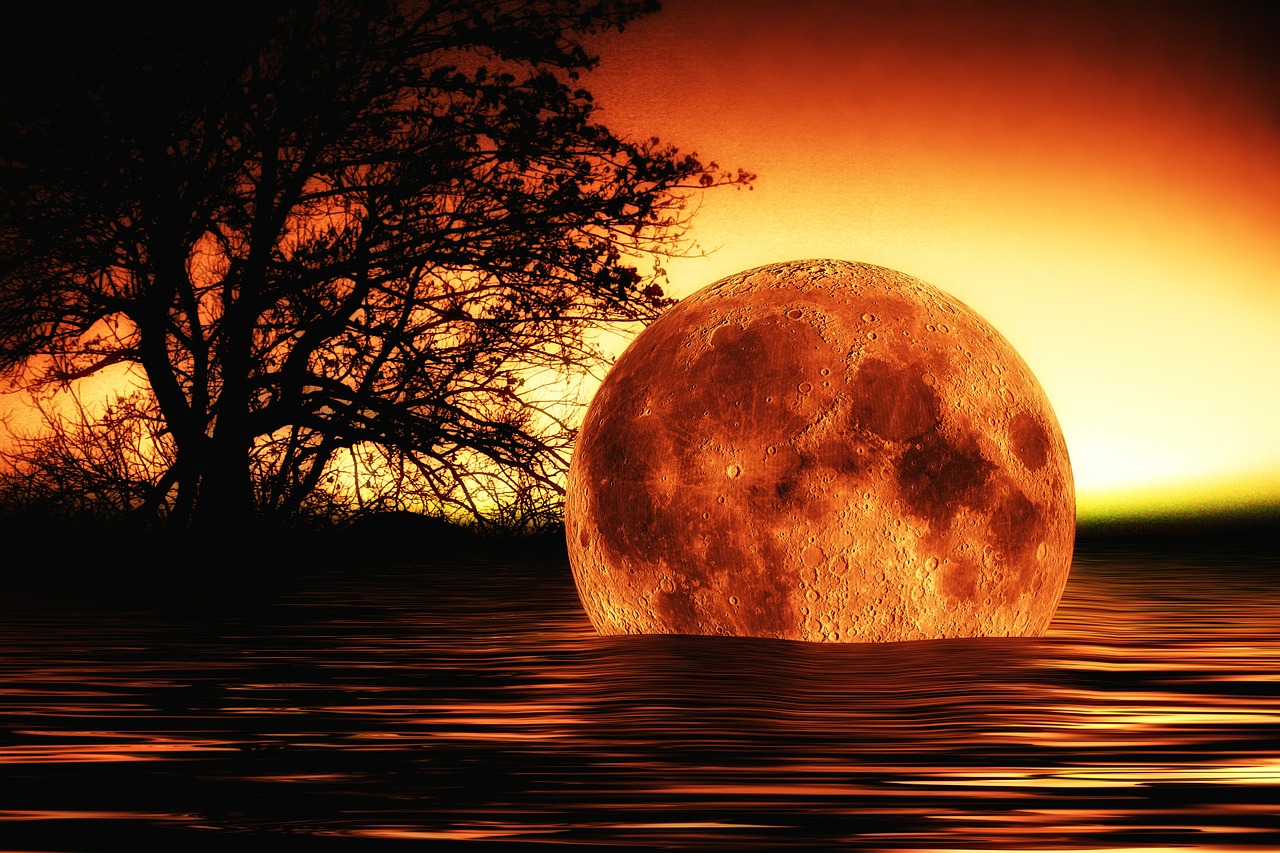 Trasnporte y Logística